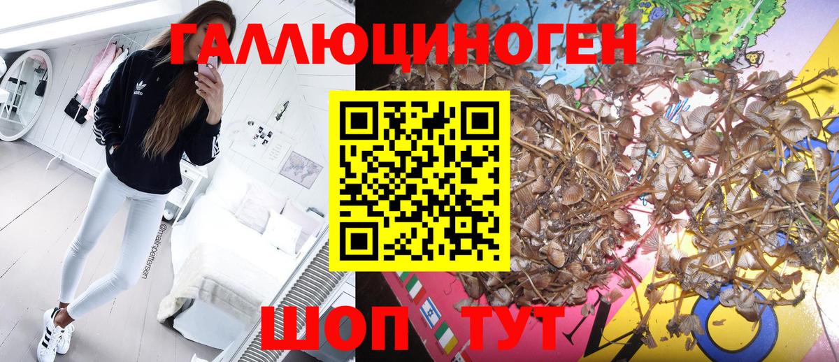 Псилоцибиновые грибы мухоморы Конаково